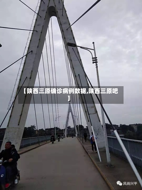 【陕西三原确诊病例数据,陕西三原吧】