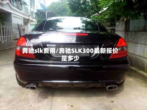 奔驰slk费用/奔驰SLK300最新报价是多少