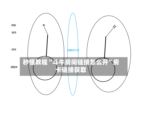 秒懂教程“斗牛房间链接怎么开”房卡链接获取