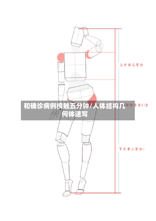 和确诊病例接触五分钟/人体结构几何体速写