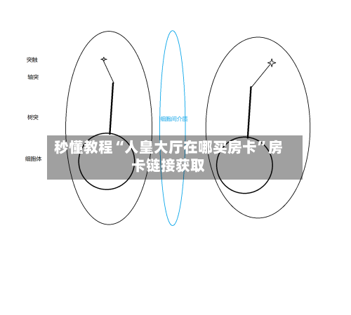 秒懂教程“人皇大厅在哪买房卡”房卡链接获取