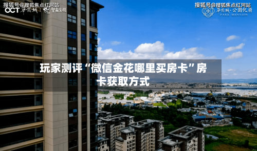 玩家测评“微信金花哪里买房卡”房卡获取方式-第2张图片