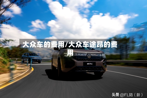 大众车的费用/大众车途昂的费用-第3张图片