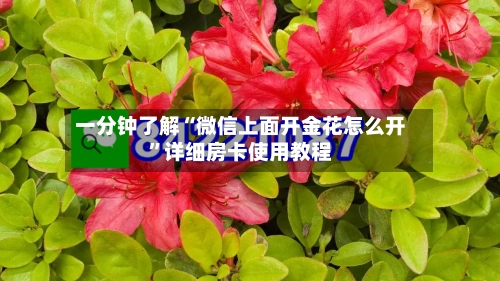 一分钟了解“微信上面开金花怎么开”详细房卡使用教程