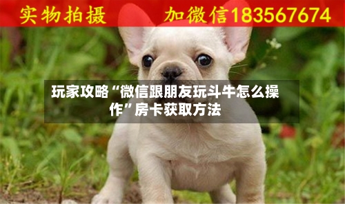玩家攻略“微信跟朋友玩斗牛怎么操作”房卡获取方法-第2张图片