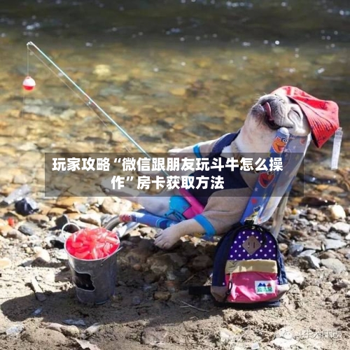 玩家攻略“微信跟朋友玩斗牛怎么操作”房卡获取方法