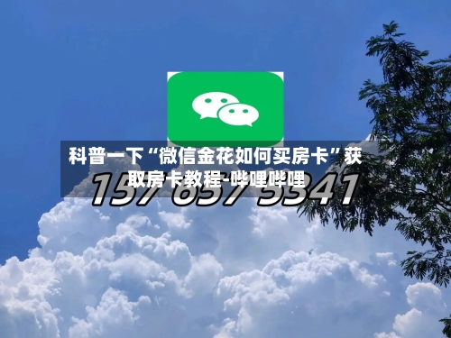 科普一下“微信金花如何买房卡”获取房卡教程-哔哩哔哩