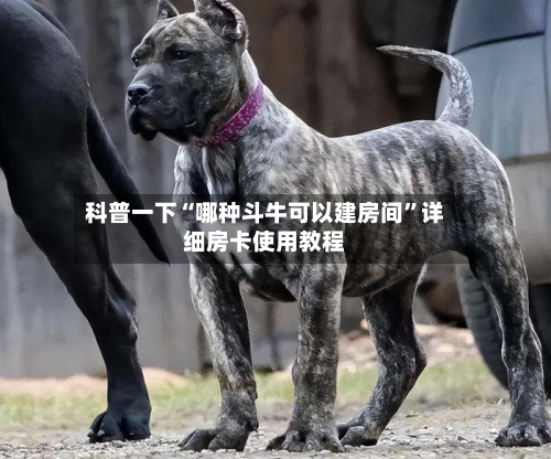 科普一下“哪种斗牛可以建房间”详细房卡使用教程-第2张图片