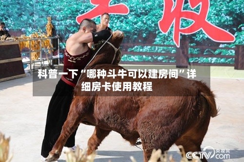 科普一下“哪种斗牛可以建房间	”详细房卡使用教程-第3张图片