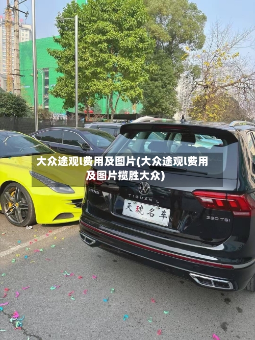 大众途观l费用及图片(大众途观l费用及图片揽胜大众)-第3张图片
