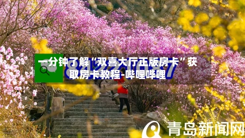 一分钟了解“双喜大厅正版房卡”获取房卡教程-哔哩哔哩-第2张图片