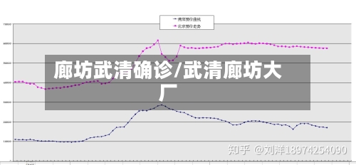 廊坊武清确诊/武清廊坊大厂-第2张图片