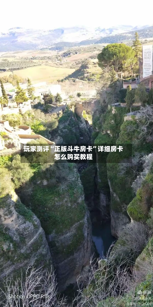 玩家测评“正版斗牛房卡”详细房卡怎么购买教程-第2张图片