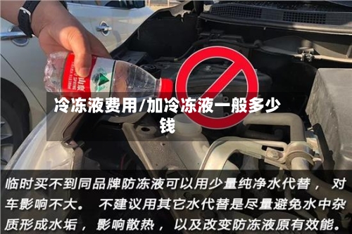 冷冻液费用/加冷冻液一般多少钱-第2张图片