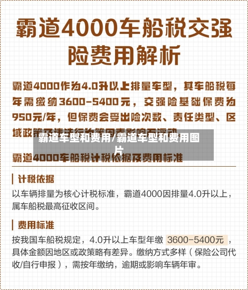 霸道车型和费用/霸道车型和费用图片
