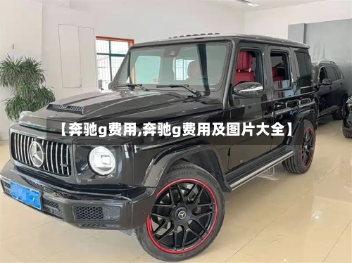 【奔驰g费用,奔驰g费用及图片大全】-第2张图片