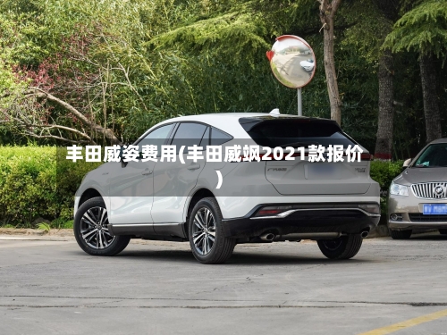 丰田威姿费用(丰田威飒2021款报价)-第3张图片