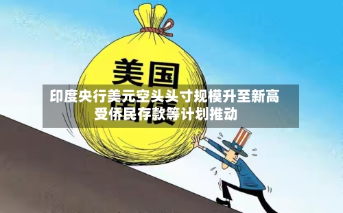 印度央行美元空头头寸规模升至新高 受侨民存款等计划推动