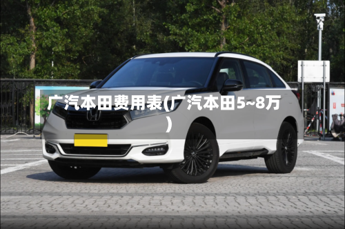 广汽本田费用表(广汽本田5~8万)-第2张图片