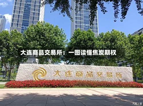 大连商品交易所：一图读懂焦炭期权