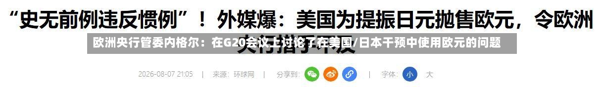 欧洲央行管委内格尔：在G20会议上讨论了在美国/日本干预中使用欧元的问题