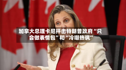 加拿大总理卡尼抨击特朗普政府“只会做表情包”和“冷嘲热讽	”-第1张图片