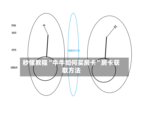 秒懂教程“牛牛如何买房卡”房卡获取方法-第3张图片