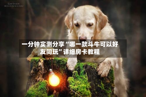 一分钟实测分享“哪一款斗牛可以好友同玩”详细房卡教程-第2张图片
