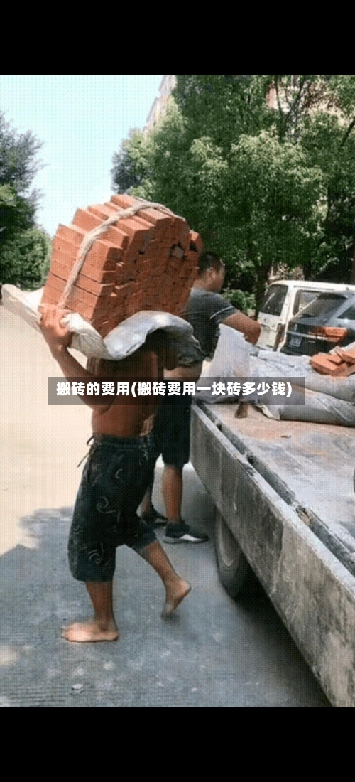 搬砖的费用(搬砖费用一块砖多少钱)