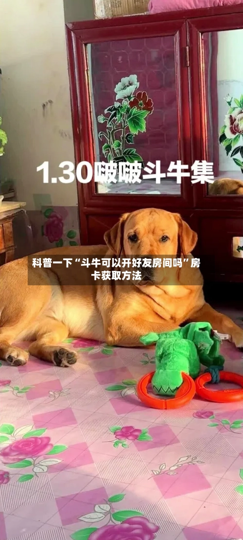 科普一下“斗牛可以开好友房间吗”房卡获取方法-第2张图片