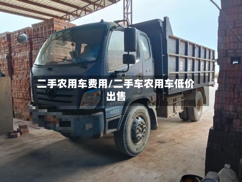 二手农用车费用/二手车农用车低价出售-第2张图片