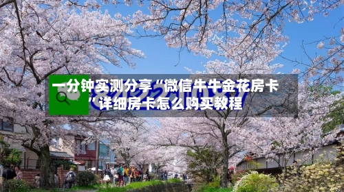 一分钟实测分享“微信牛牛金花房卡”详细房卡怎么购买教程-第2张图片