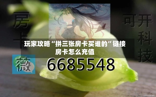 玩家攻略“拼三张房卡买谁的”链接房卡怎么充值-第2张图片