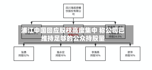 浦江中国回应股权高度集中 称公司已维持足够的公众持股量-第1张图片