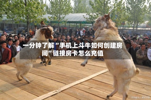 一分钟了解“手机上斗牛如何创建房间”链接房卡怎么充值-第3张图片