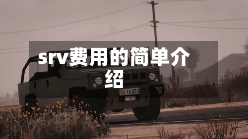 srv费用的简单介绍-第2张图片