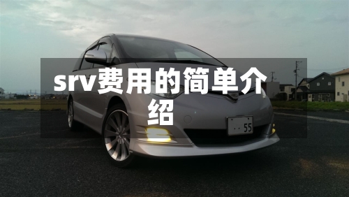 srv费用的简单介绍