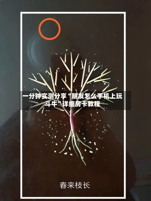 一分钟实测分享“朋友怎么手机上玩斗牛”详细房卡教程