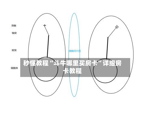 秒懂教程“斗牛哪里买房卡”详细房卡教程