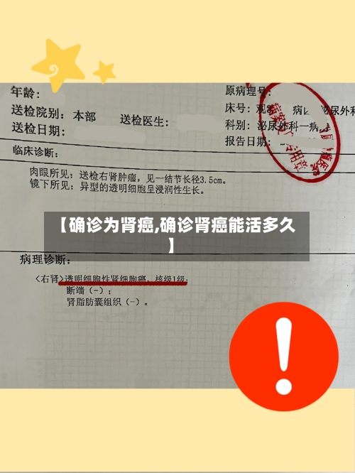 【确诊为肾癌,确诊肾癌能活多久】-第2张图片