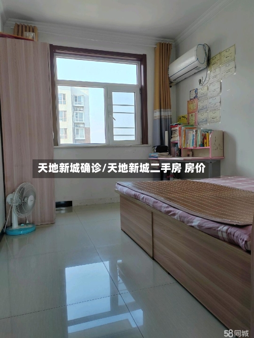 天地新城确诊/天地新城二手房 房价-第2张图片