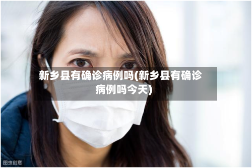 新乡县有确诊病例吗(新乡县有确诊病例吗今天)-第2张图片