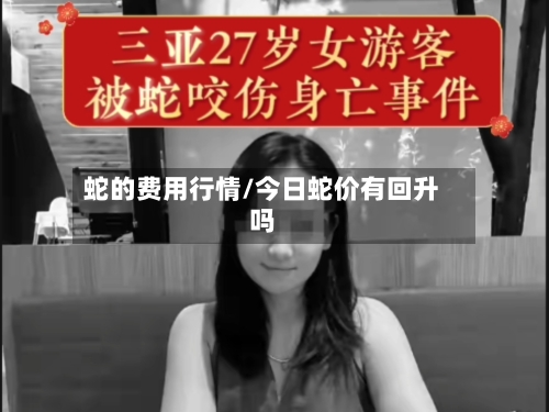 蛇的费用行情/今日蛇价有回升吗