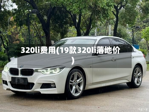 320li费用(19款320li落地价)