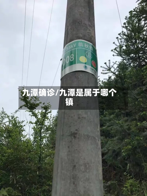 九潭确诊/九潭是属于哪个镇-第2张图片