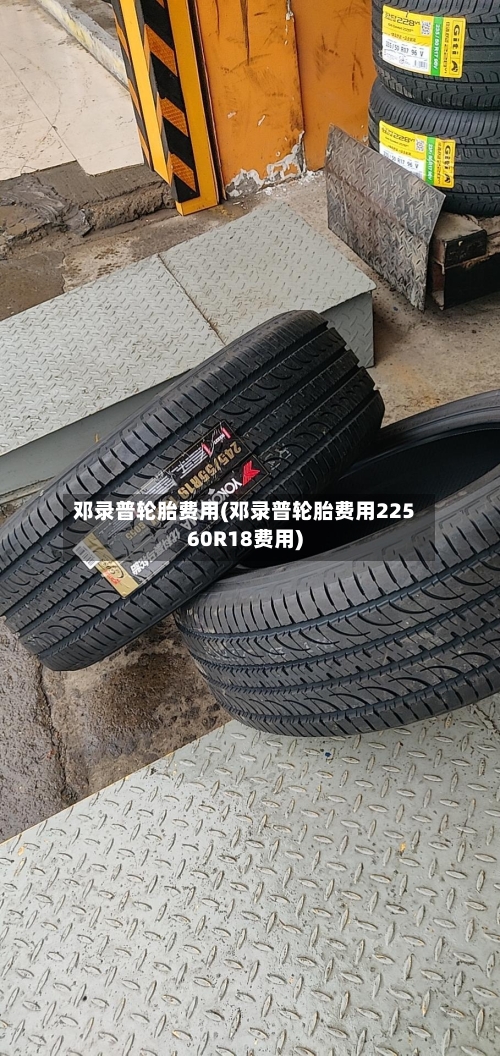 邓录普轮胎费用(邓录普轮胎费用22560R18费用)-第3张图片