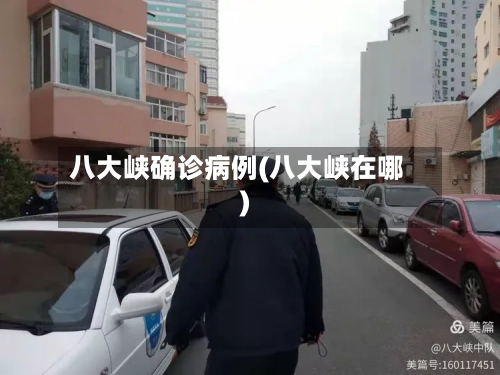 八大峡确诊病例(八大峡在哪)