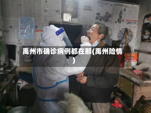 禹州市确诊病例都在那(禹州险情)-第2张图片