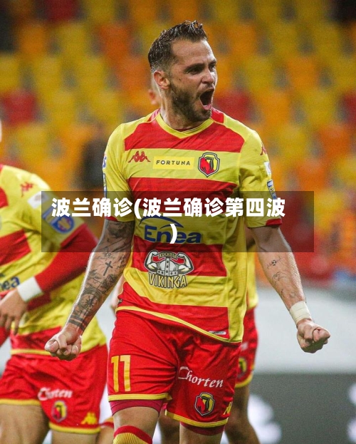 波兰确诊(波兰确诊第四波)-第2张图片