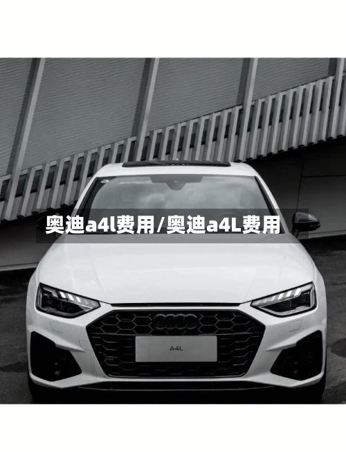 奥迪a4l费用/奥迪a4L费用-第2张图片